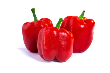 Rote Paprika