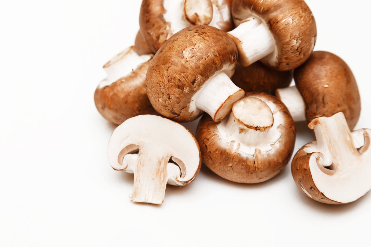Champignons Pilze 