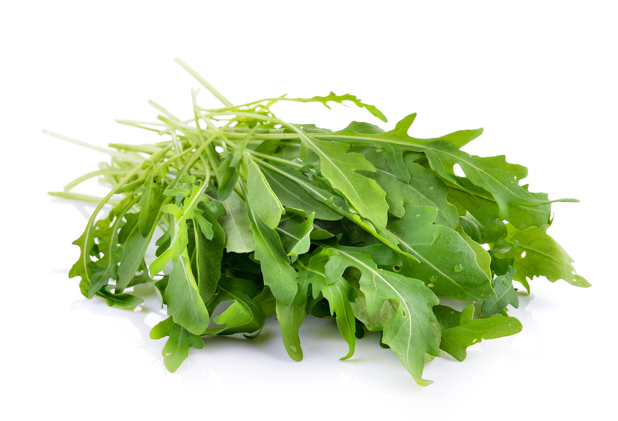 Salat Rucola Bund