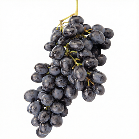 leckere schwarze Trauben kernlos dunkel