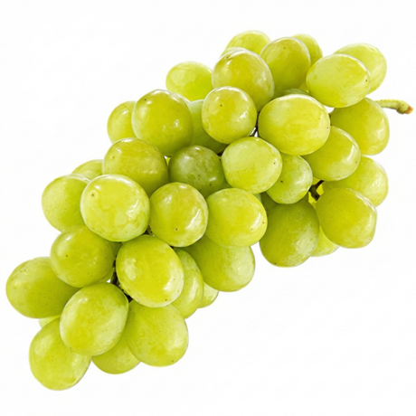 knackig frische Trauben hell kernlos weiß