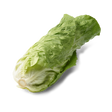 zuckerhut ein stück